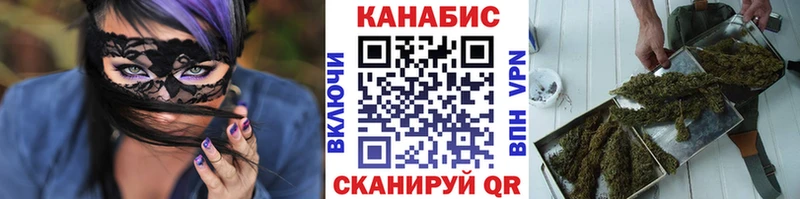 Бошки марихуана индика  Туран 
